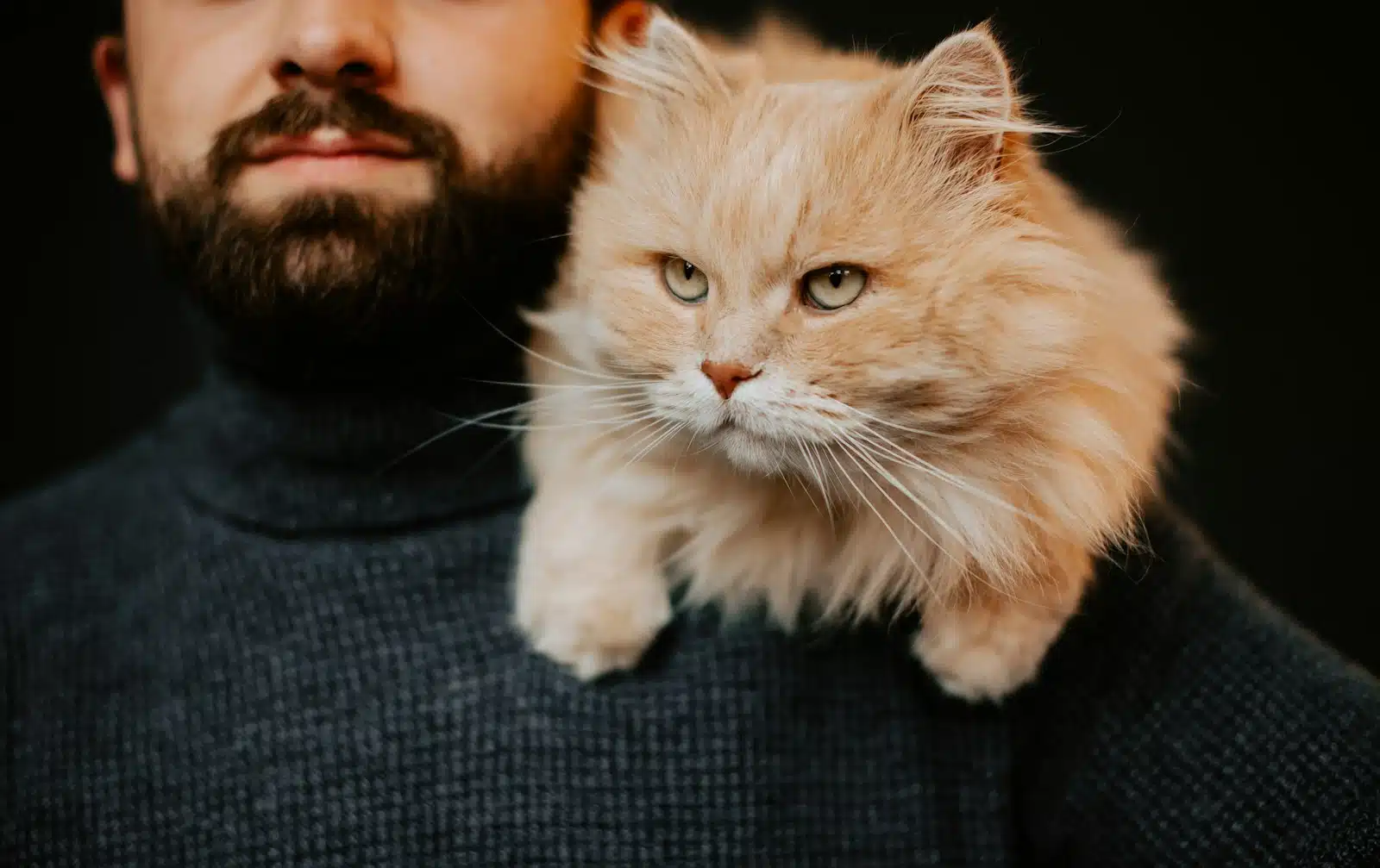 a man holding a cat on his shoulder