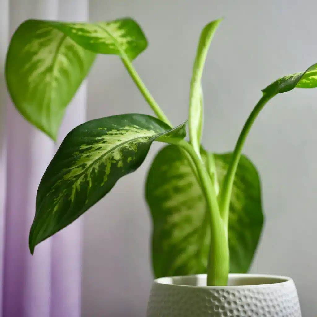 a green plant in a white vase on a table